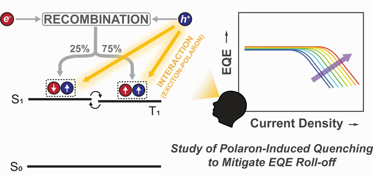 Efficiency roll-off in TADF OLEDs