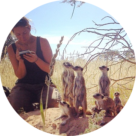 Go to the profile of Charli Davies