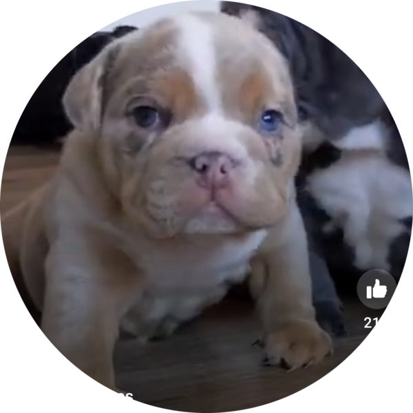 Go to the profile of Brandi