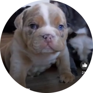 Go to the profile of Brandi