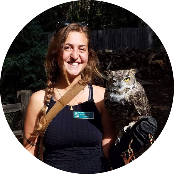 Go to the profile of shoshannadean@gmail.com