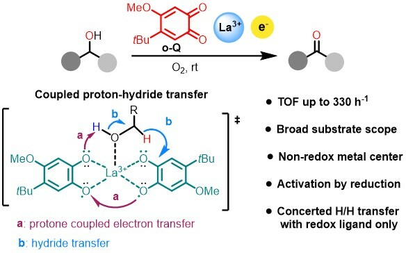 Lanthanide-dependent enzyme inspired molecular catalysis