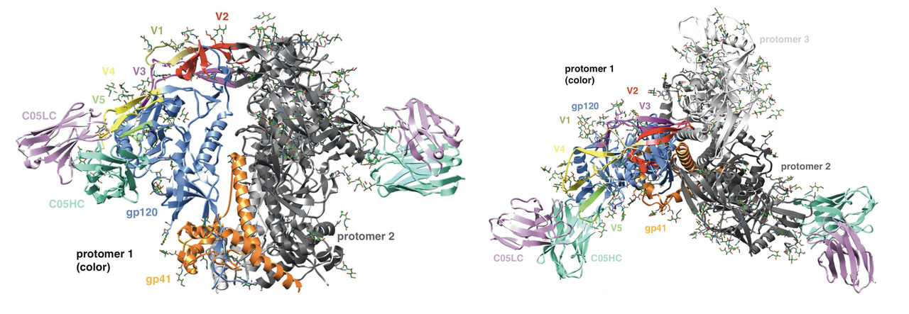 Empowering nucleic acid technology to generate highly conformational and functional vaccines against HIV in vivo