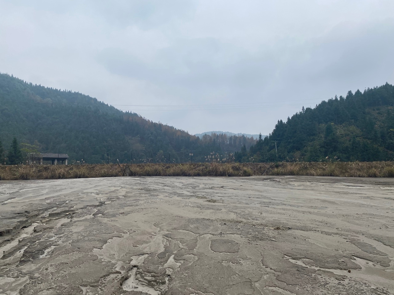 Coupling sulfur oxidation to antimonate reduction – a novel biogeochemical process mediated by Desulfurivibrio spp.