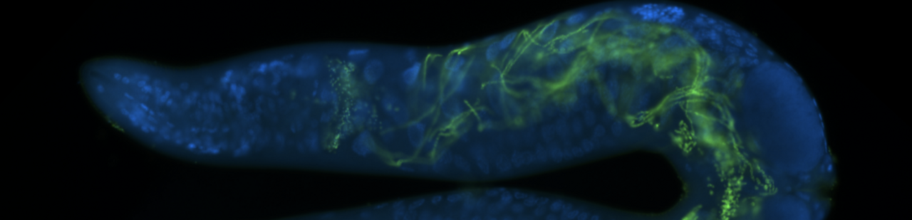 Threading for spreading