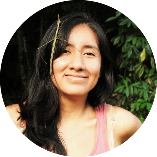 Go to the profile of Juriko Rupay