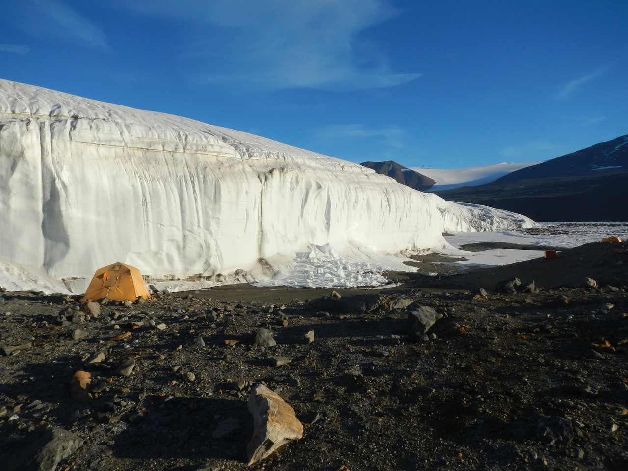 Long-Term Research in a Polar Desert Reveals Ecological Legacies in Antarctica
