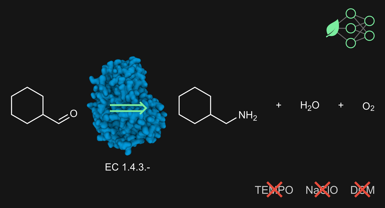 Biocatalysed Synthesis Planning using Data-driven Learning