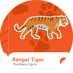 Go to the profile of Md Sarowar Jahan