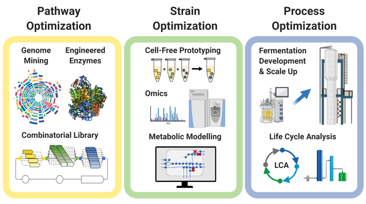 To the (Climate) Rescue: From First Blip in Chromatogram to Deployment at Industrial Pilot Scale