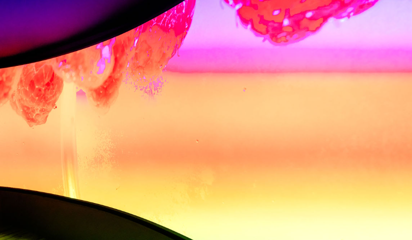 Congratulations New Certification Steering Committee Members: 2024