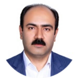 Go to the profile of Majid Rostami