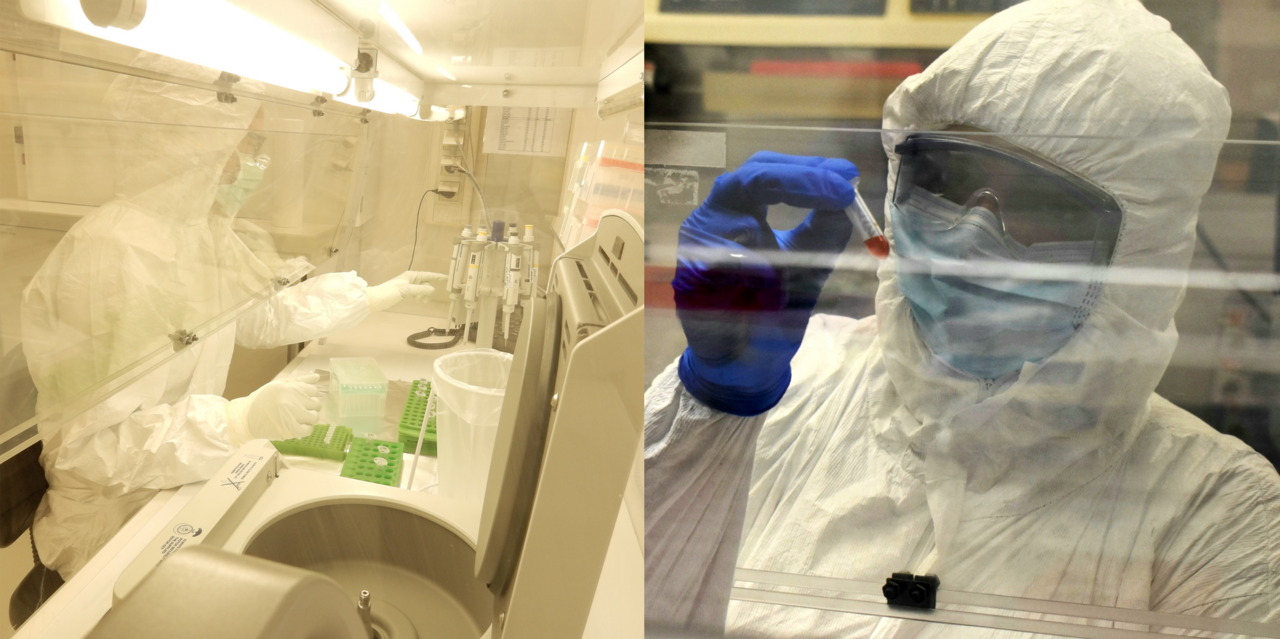 From seals to humans and beyond: Tuberculosis transmission in ancient South America