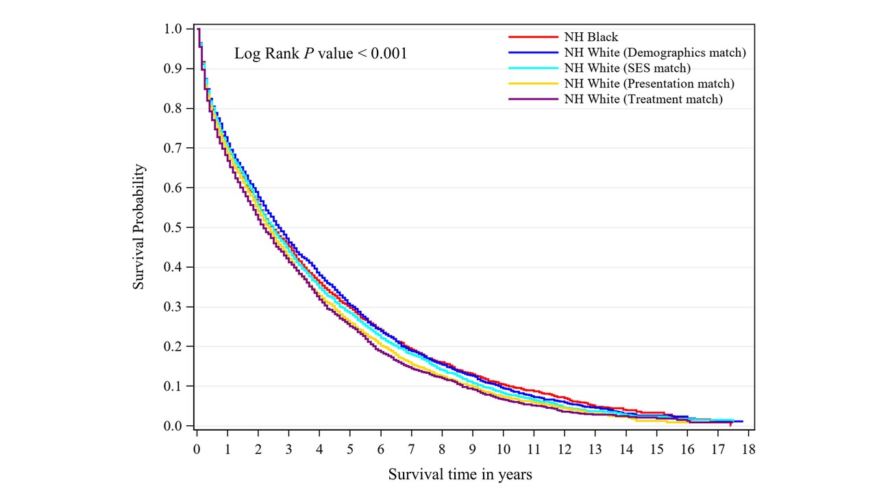 Black Patients with Multiple Myeloma Have Better Survival than White Patients When Treated Equally: A Matched Cohort Study