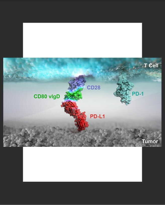 Looking Beyond Checkpoint Inhibition: How Davoceticept and CD28 Costimulation May Create a More Meaningful Anti-Tumor Response