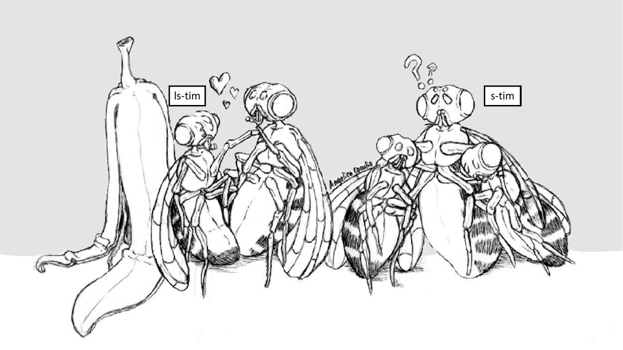 When artefacts reveal some of Nature's secrets