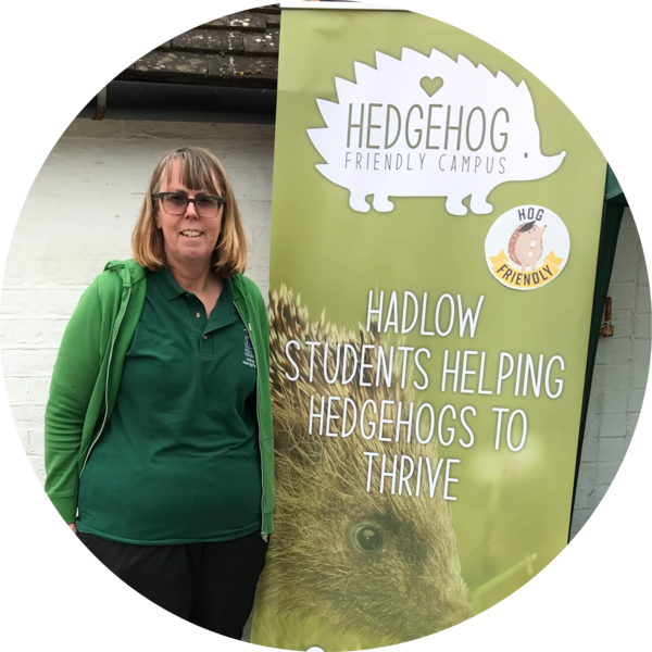 Go to the profile of Jackie Williams