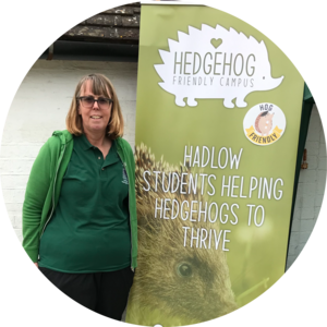 Go to the profile of Jackie Williams