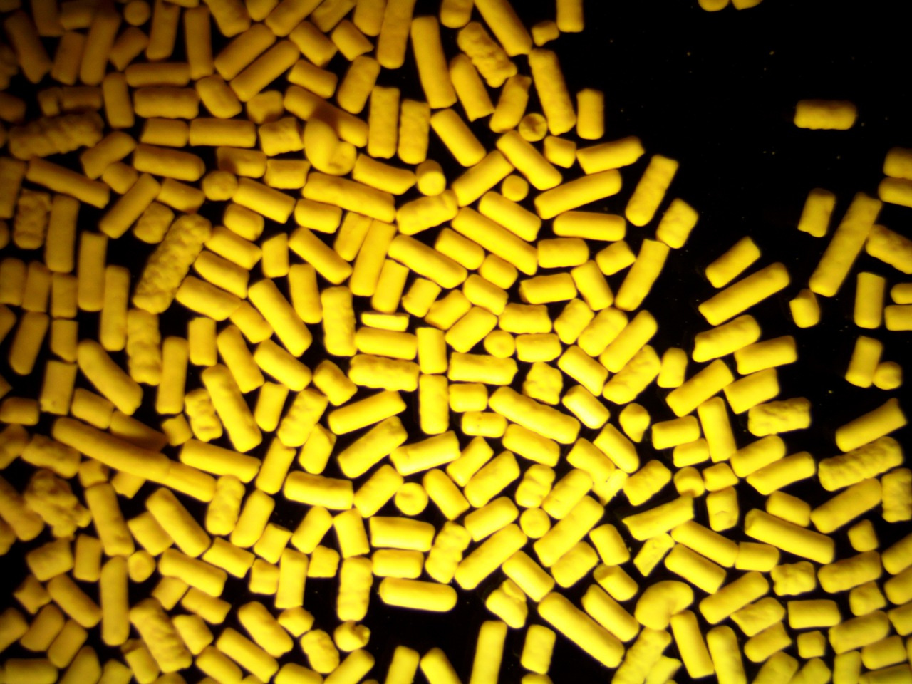 Baking, brewing…and virology: a fresh look under the hood of hepatitis B virus! 