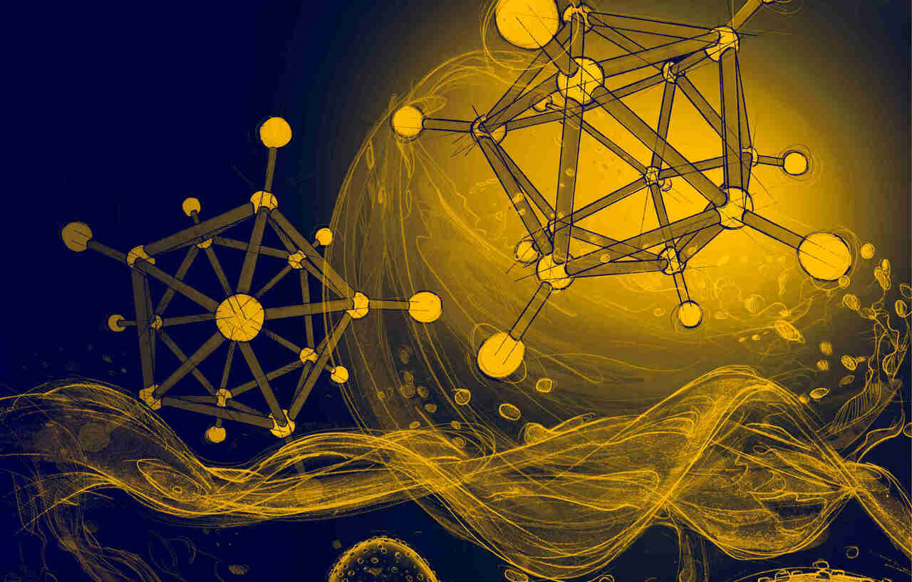 Boron clusters as broadband membrane carriers
