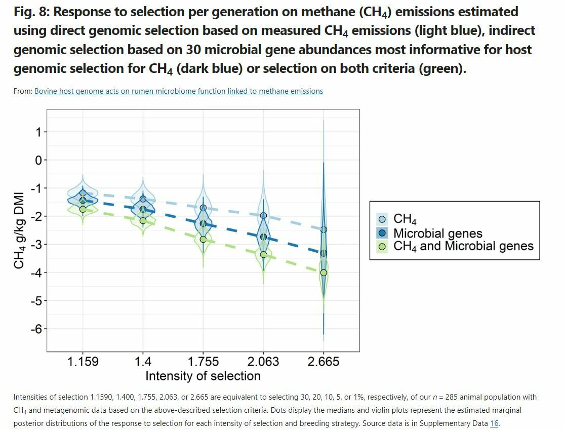 Rumen microbiome at its BEST
