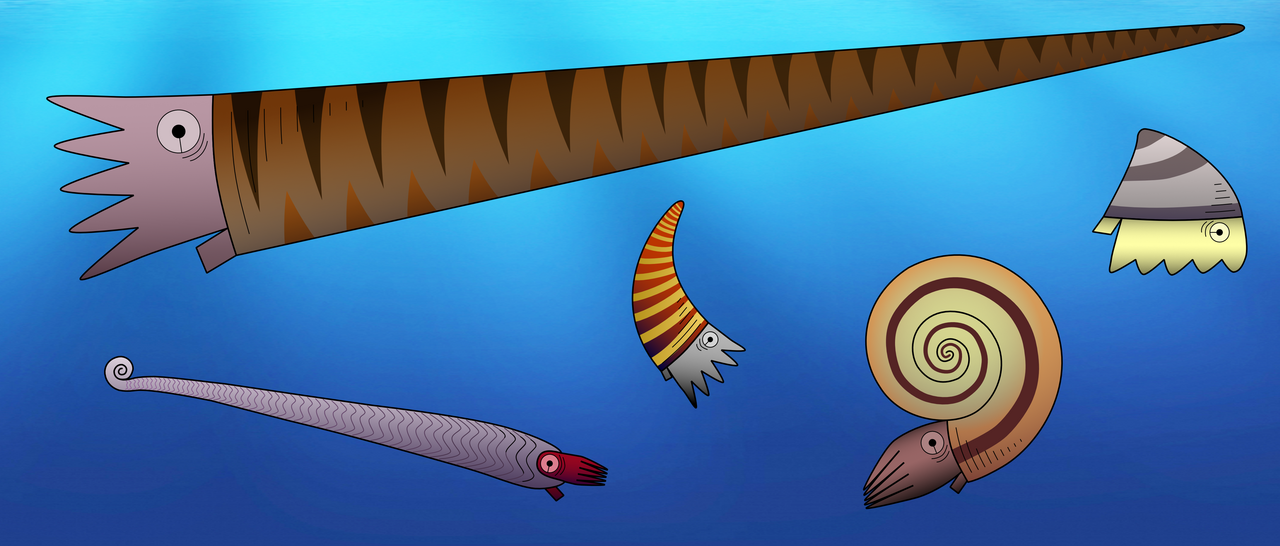 Cones, sticks and croissants: Early cephalopod evolution