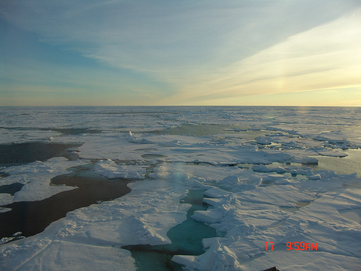 Why study sea ice?