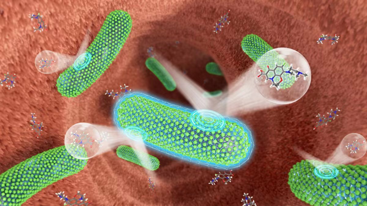Protecting the human intestinal microbiome with natural polyphenol-based nanocoating
