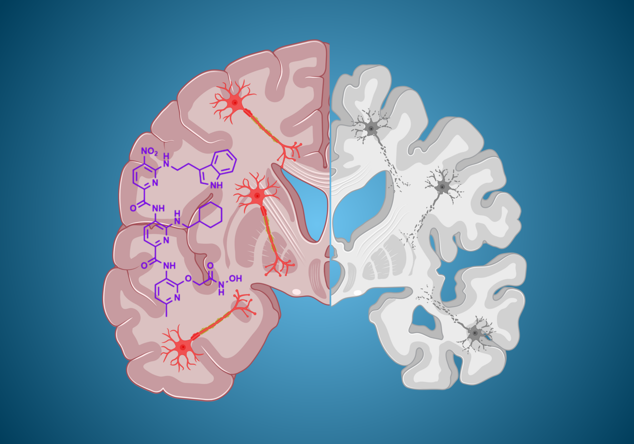 Protein mimetic 2D FAST rescues alpha synuclein aggregation mediated early and post disease Parkinson’s phenotypes