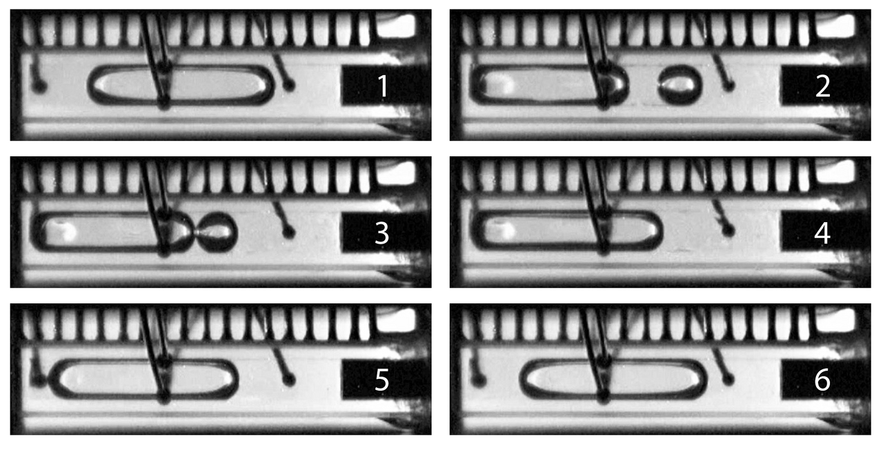 Wickless Heat Pipes, Explosive Nucleation, and Multi-phase Cooling in Microgravity