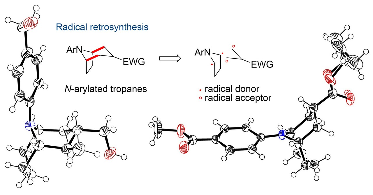 Tropane and related alkaloid skeletons via a radical [3+3]-annulation process