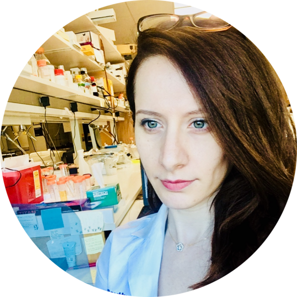 Go to the profile of Hanaa Hariri, PhD