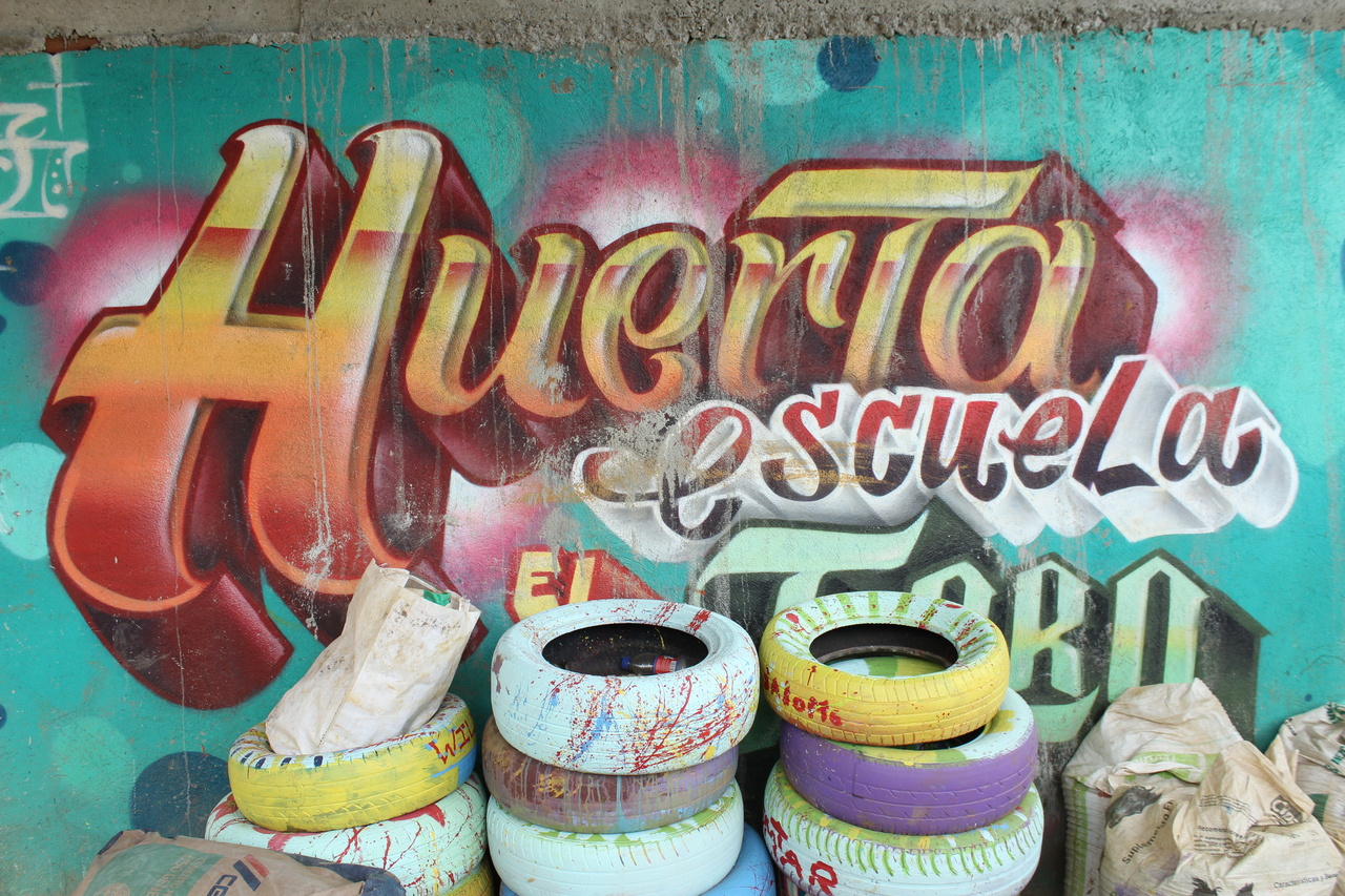 LiA Peace and Social Resilience - week 4