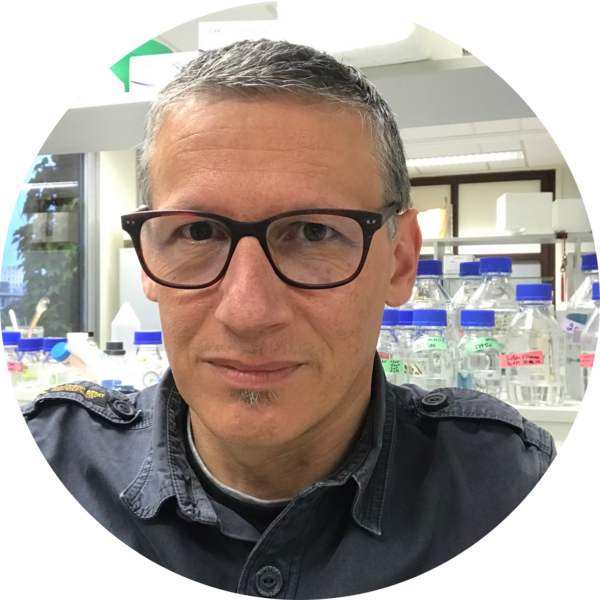 Go to the profile of Franck MARTIN