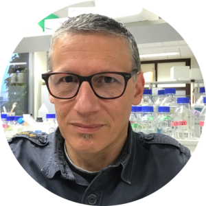 Go to the profile of Franck MARTIN