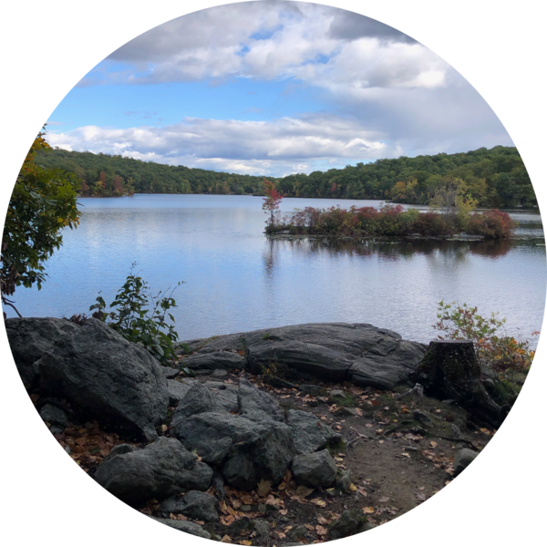 Go to the profile of Erin Farley