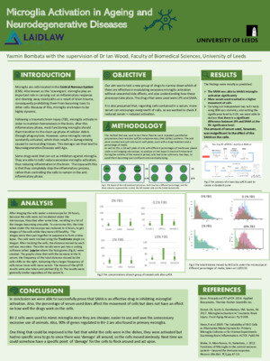 Microglia Activation in Ageing and Neurodegenerative Diseases