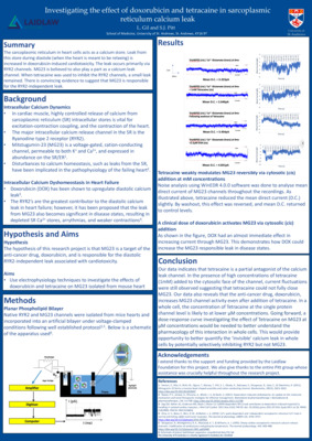 Research Poster - Investigating the effect of doxorubicin and tetracaine in sarcoplasmic calcium leak
