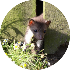 Go to the profile of Marta Duque