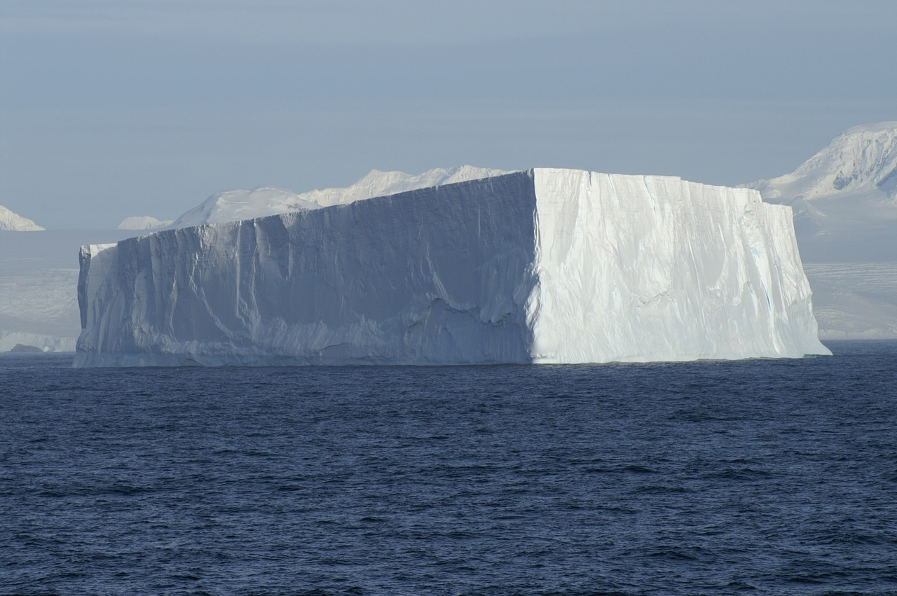 Islands are cradles for Antarctic marine life