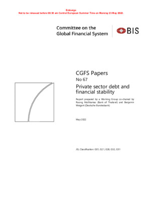 Private sector debt and financial stability