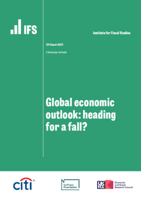 Global economic outlook: heading for a fall?