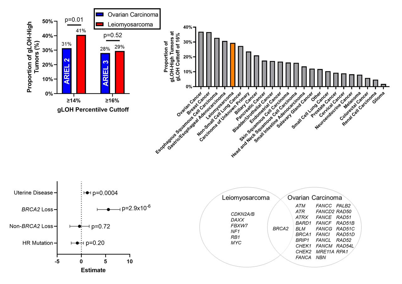Drivers of genomic loss of heterozygosity in leiomyosarcoma are distinct from carcinomas