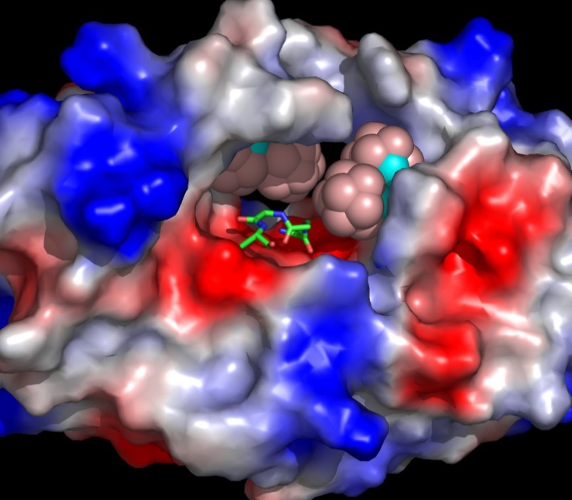 Jan Konvalinka: “We work on so many projects at the moment that I do not know what exactly ‘my field’ is anymore.”