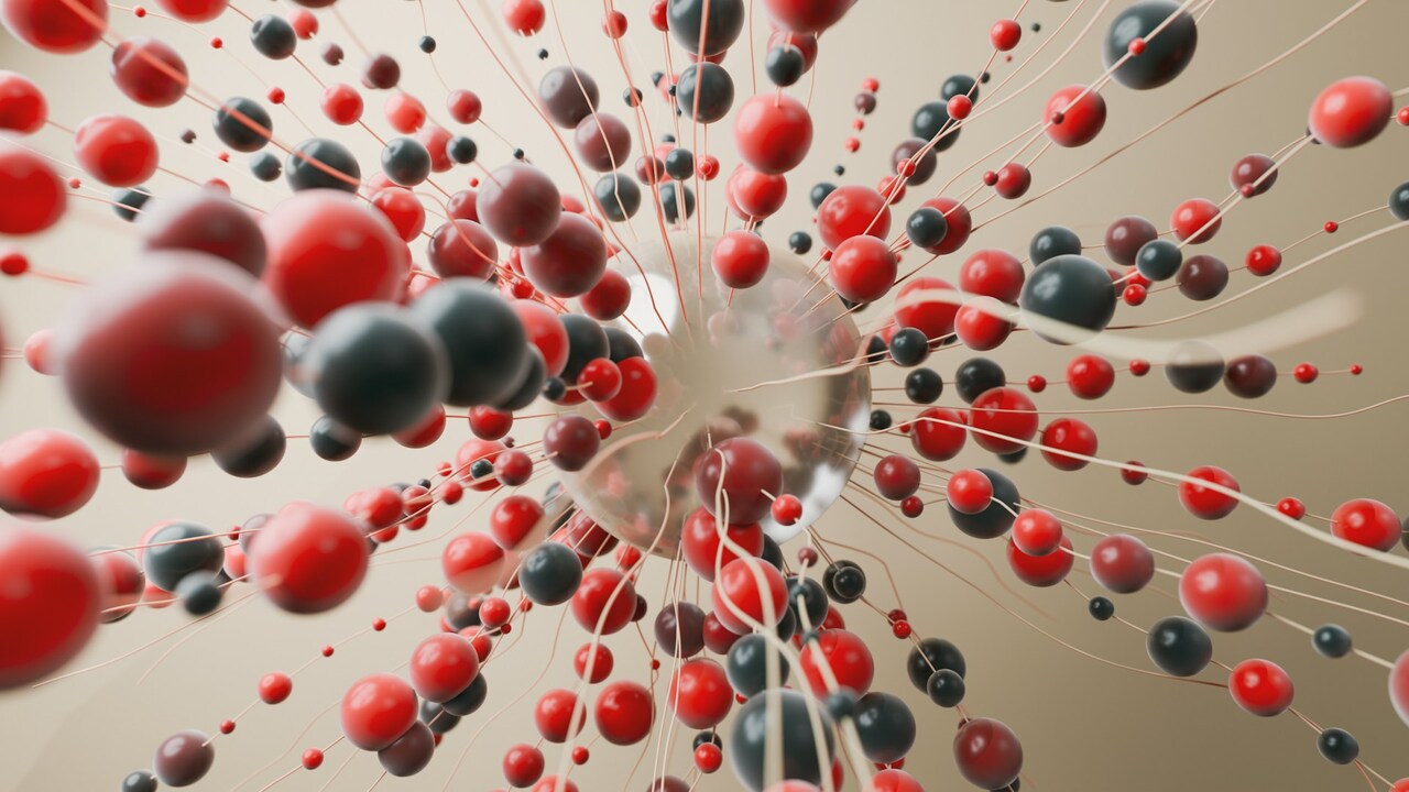 Carola Vinuesa: "I appreciate independent thinkers..."