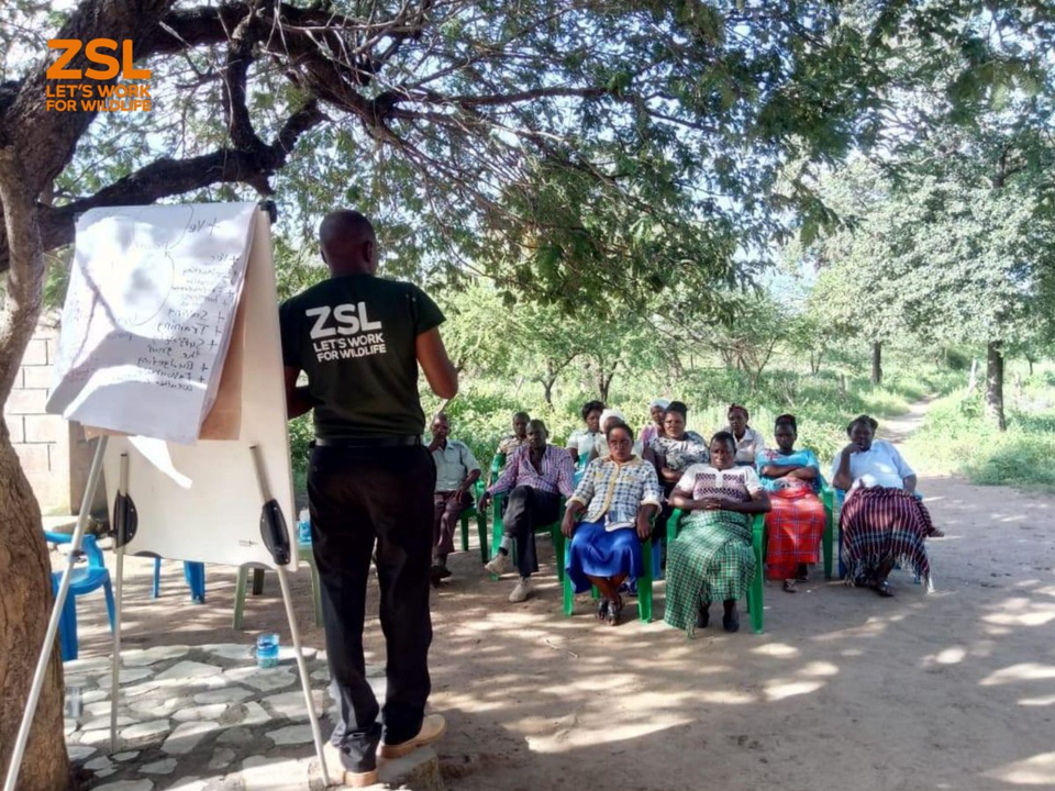 Conservation job opportunity at ZSL: 1