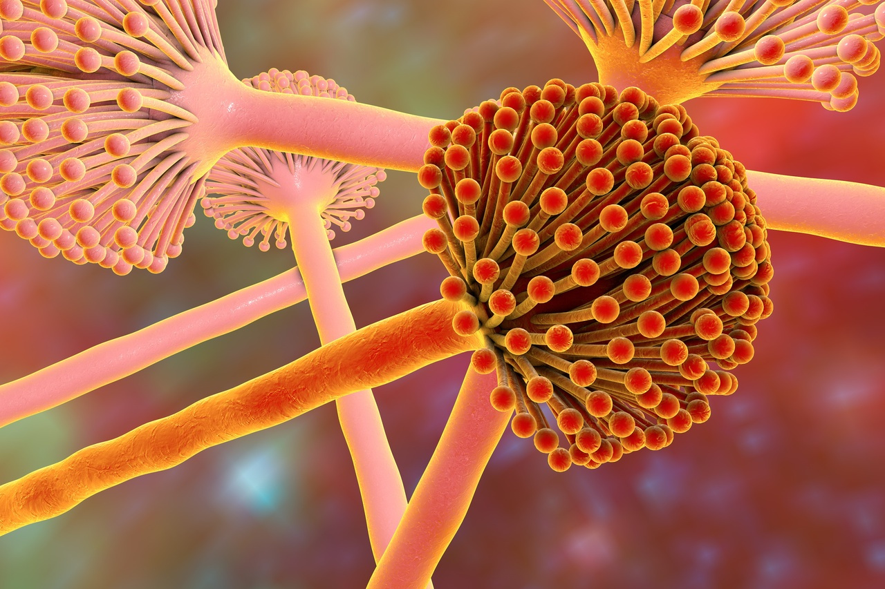 Call for Papers: Host-Pathogen Interactions