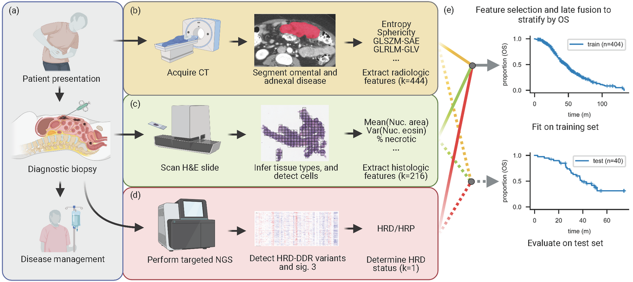 Integrating quantitative biomarkers for ovarian cancer from routine clinical imaging