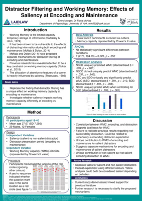 Distractor Filtering and Working Memory: Effects of Saliency at Encoding and Maintenance 