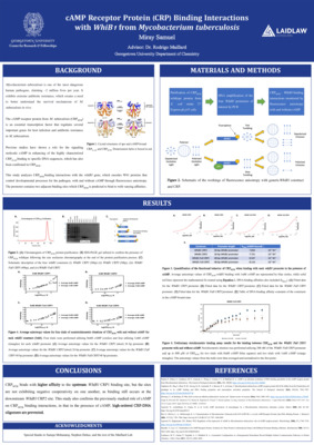 Miray Samuel - Summer 1 Poster